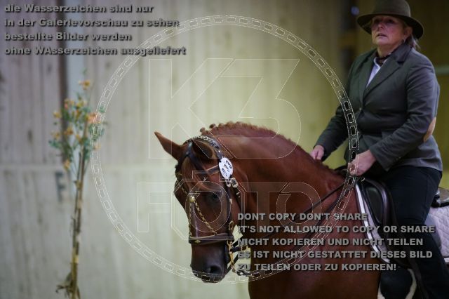 s_K3F07546.JPG